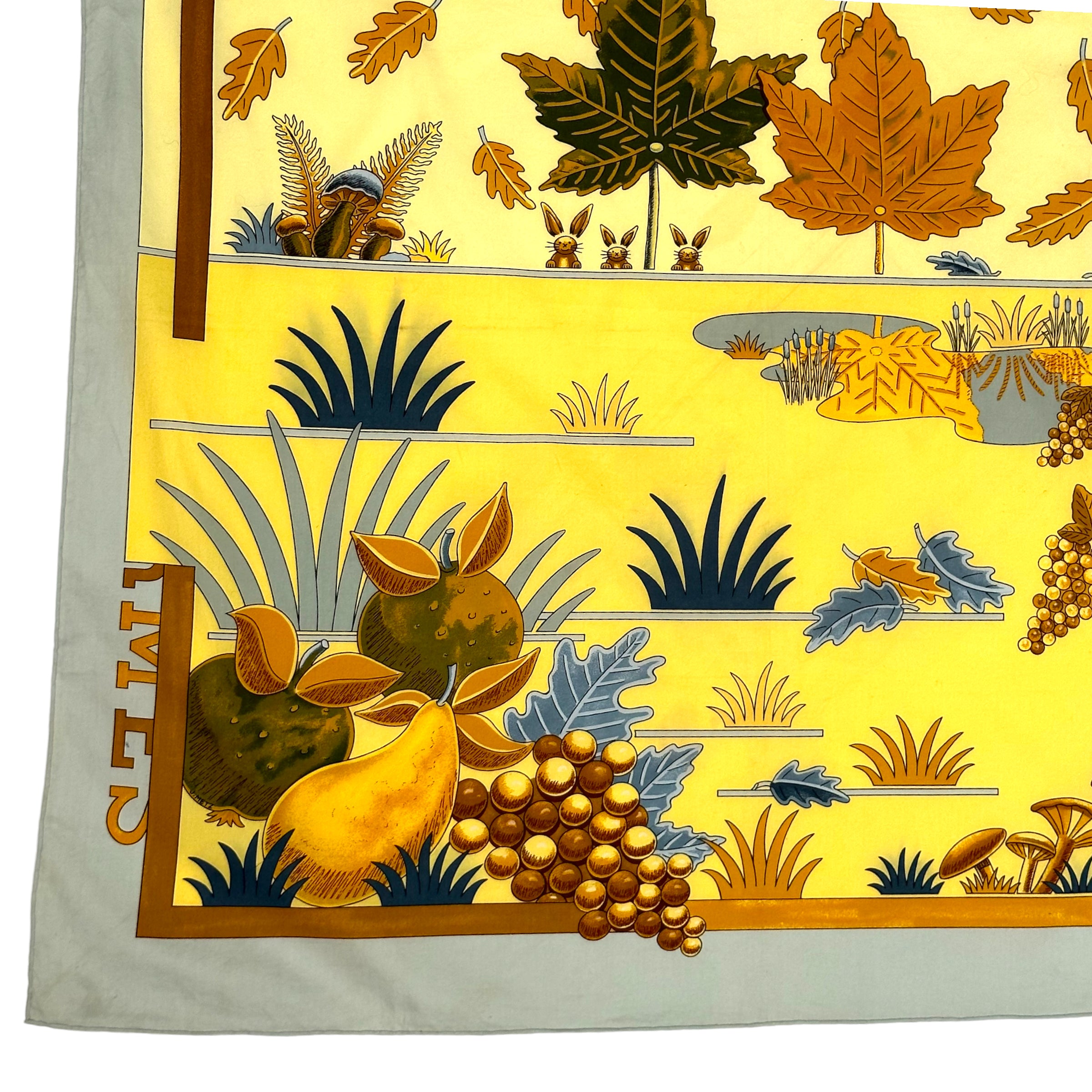 automne-foulard-hermes-dessin-champignons