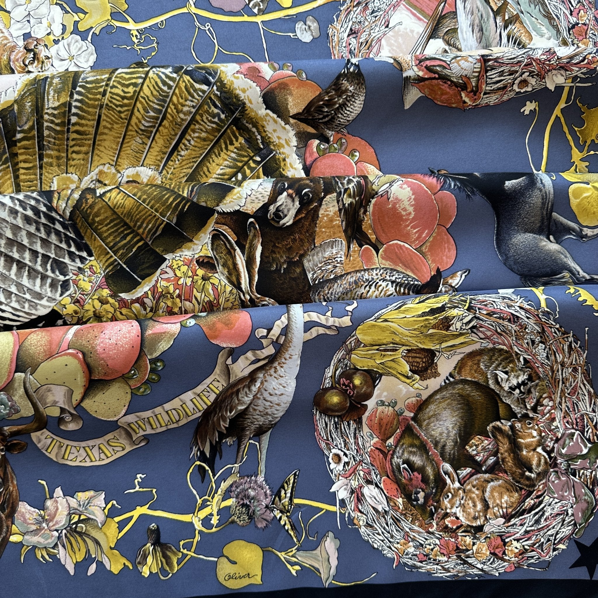 Texas Fauna and Flora - HERMES SCARF 90 CM