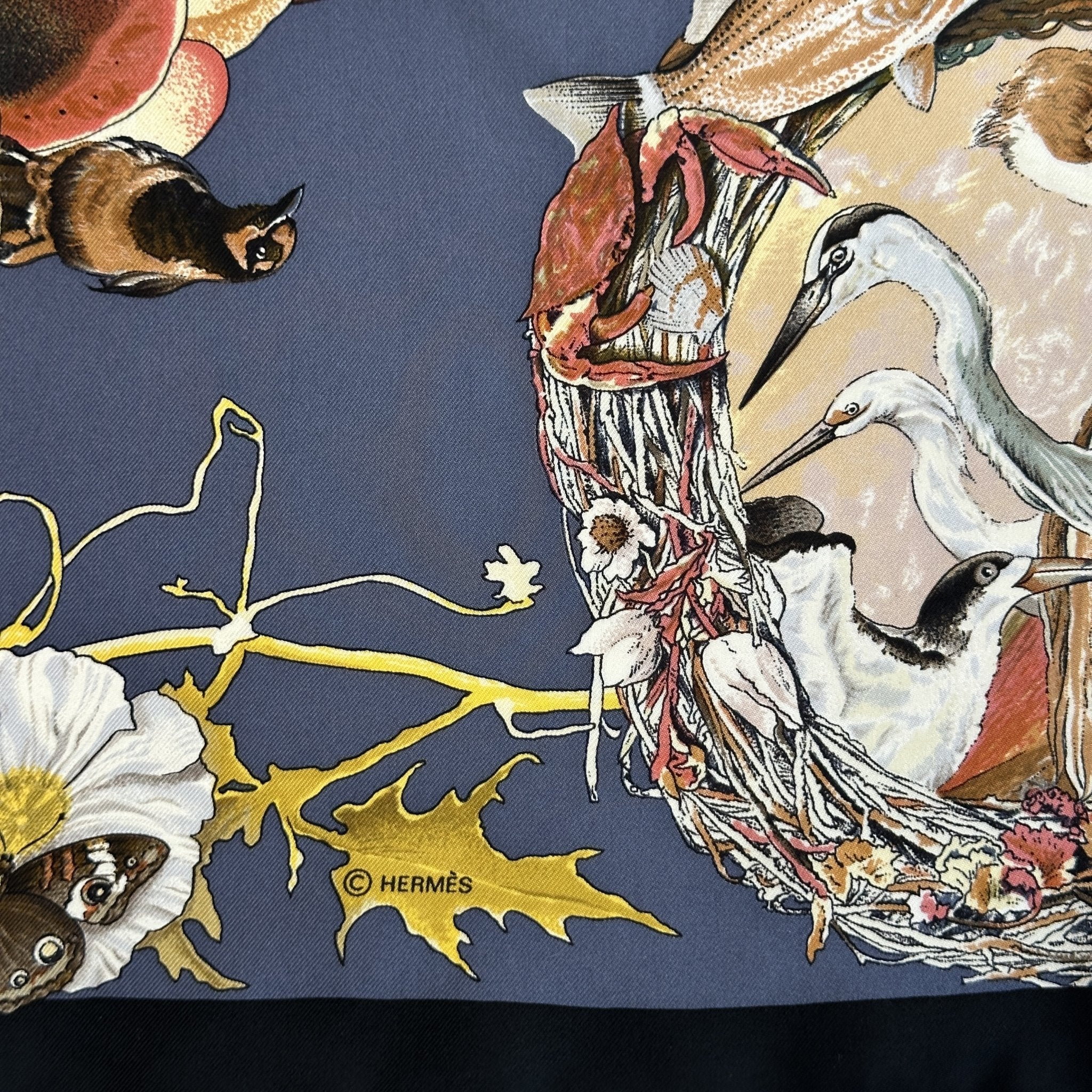 Faune et Flore du Texas - FOULARD HERMES 90 CM