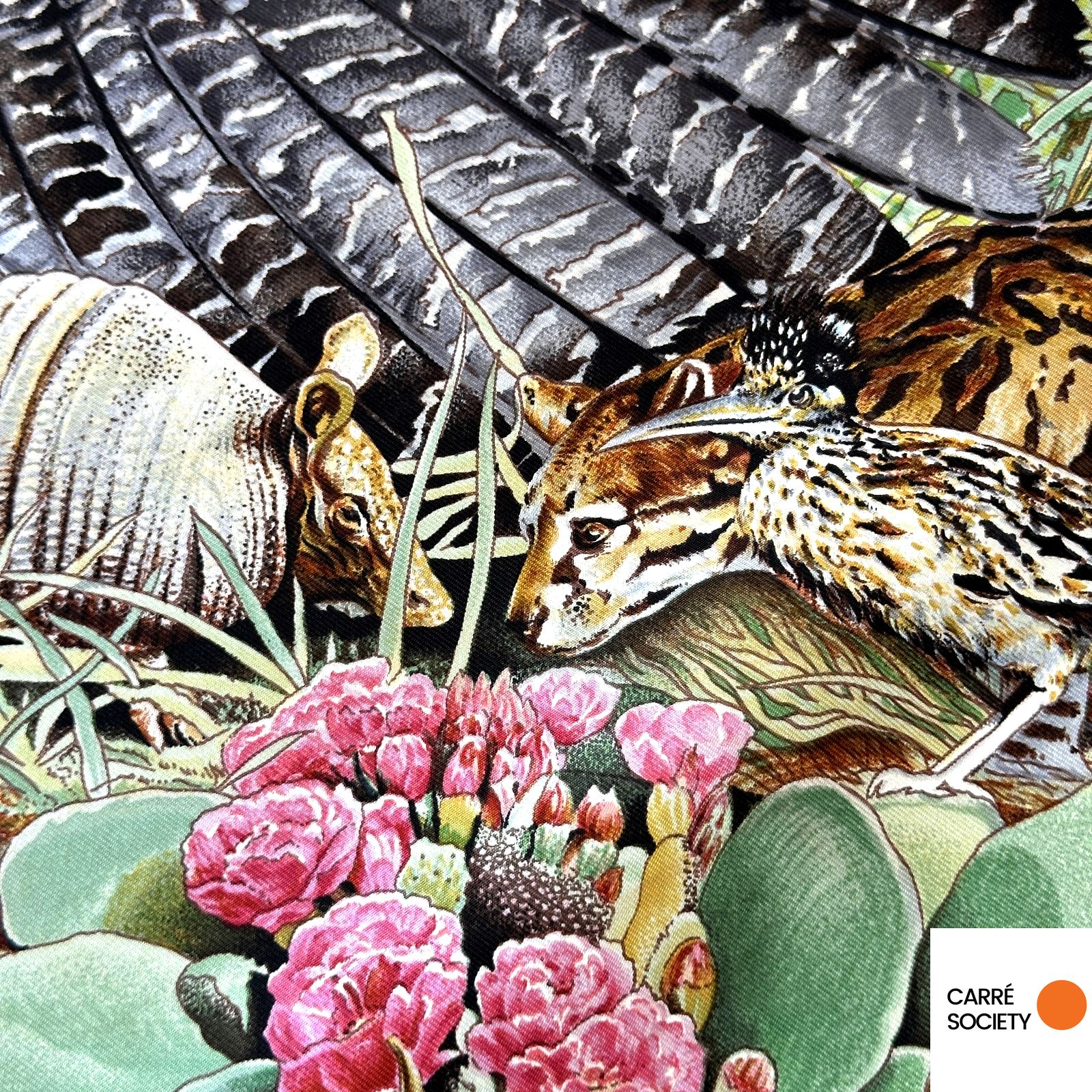 détail d'animaux et de fleurs de cactus du carré Faune et Flore du Texas