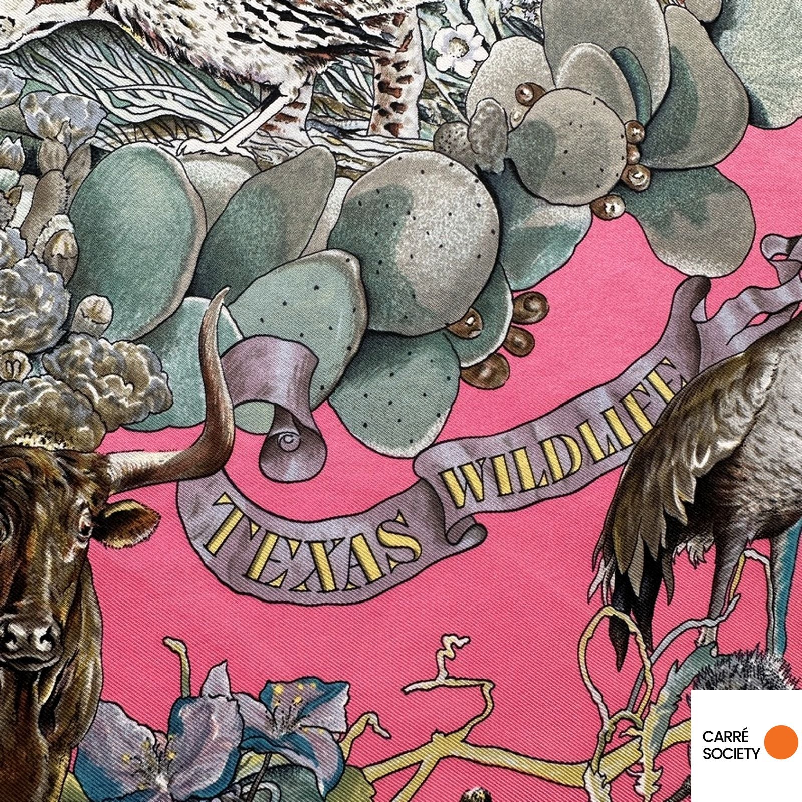 Motifs animaux du foulard Hermès Faune et Flore du Texas – zoom sur le titre anglais texas wildlife