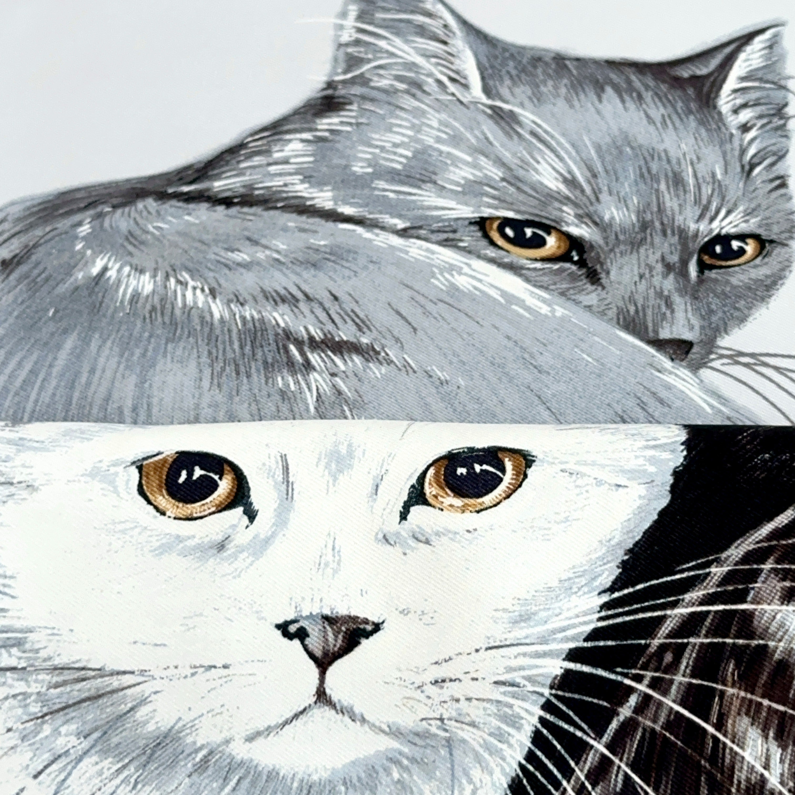 Carré Hermès Les Chats de Daphné Duchesne, 90 cm soie, duo chat gris British et chat blanc, regards dorés